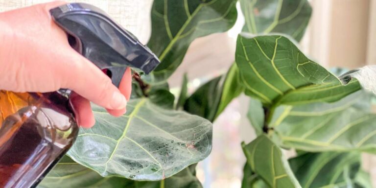 növényvédő spray