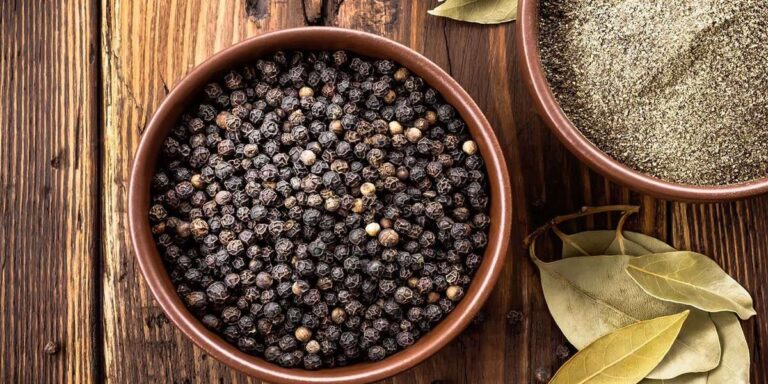 Piper Nigrum