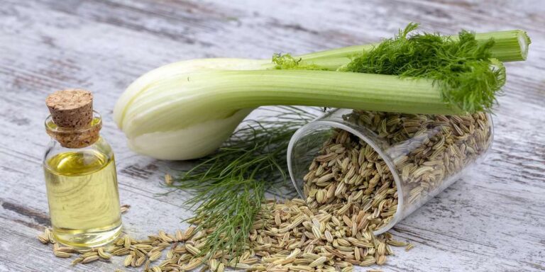 Ánizskapor,Fennel,Finocchio