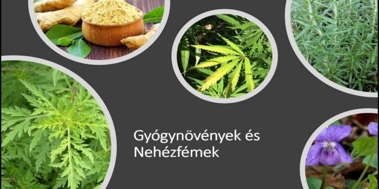 Gyógynövények és nehézfémek